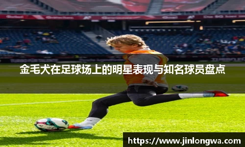 JN江南体育官网入口